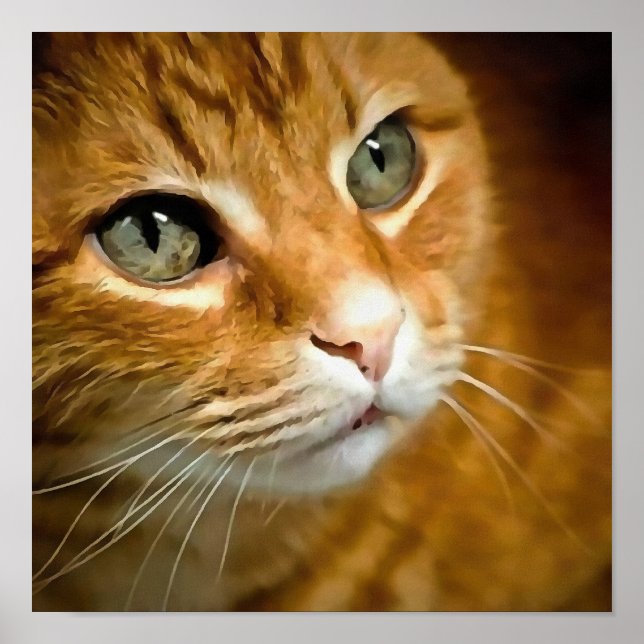 Gingembre adorable Tabby Chat Poster Portrait anim (Devant)