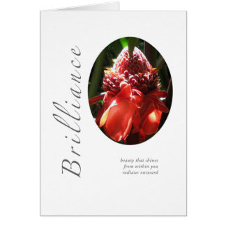 Gingembre incendié par brillant