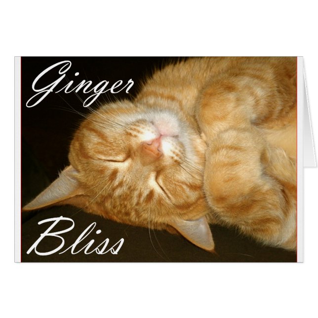 Ginger Bliss (Devant horizontal)