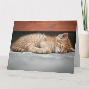 GINGER CAT KITTEN DORMIR ANNIVERSAIRE CARTE DE REC