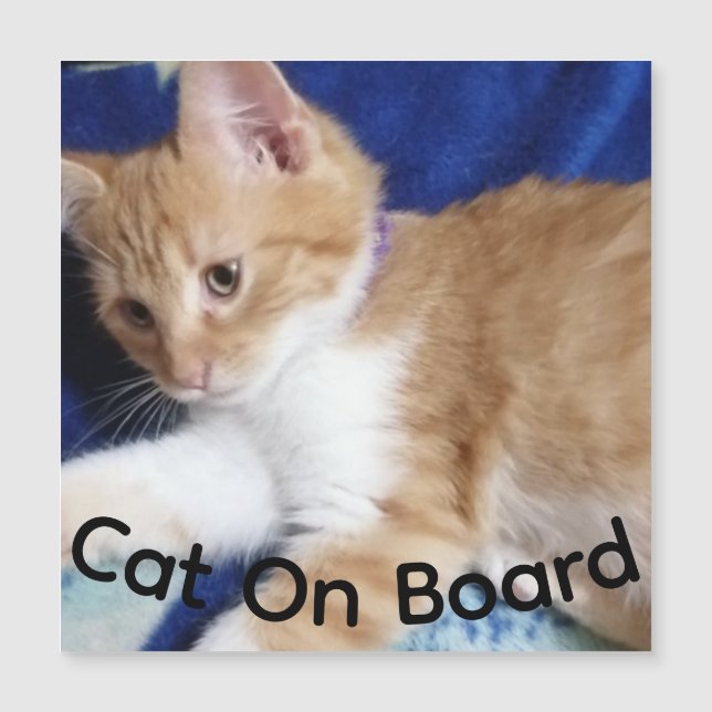 ginger cat on board photo,  car magnet (Devant)