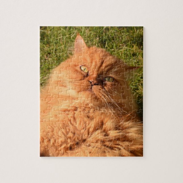 GINGER CHAT PERSIAN JIGSAW Puzzle (Vertical)