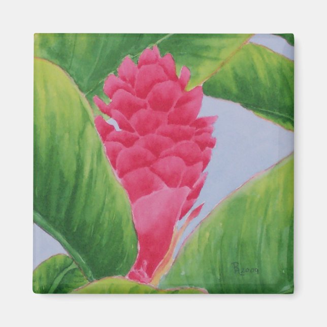 Ginger Magnet (Devant)