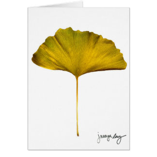 "Gingko" par J. Maya Luz