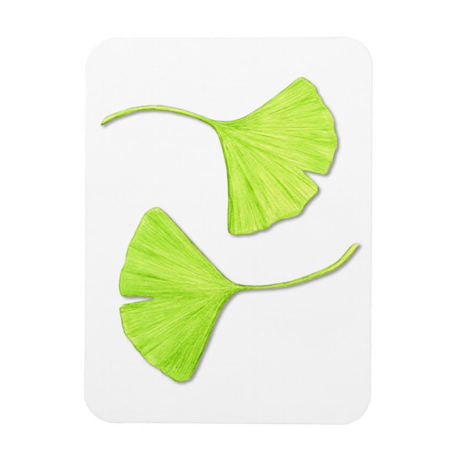 Ginkgo Feuille Flexi Magnet (Vertical)