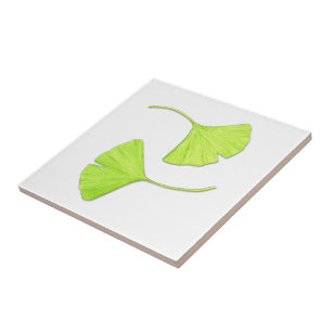 Ginkgo Feuille Nature Art Carreau