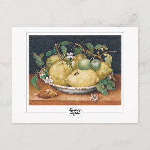 Giovanna Garzoni #4 - Carte postale d'art