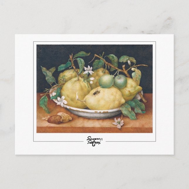 Giovanna Garzoni #4 - Carte postale d'art (Devant)