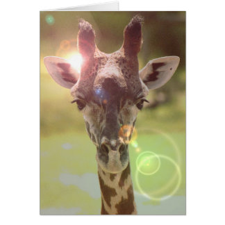 girafe