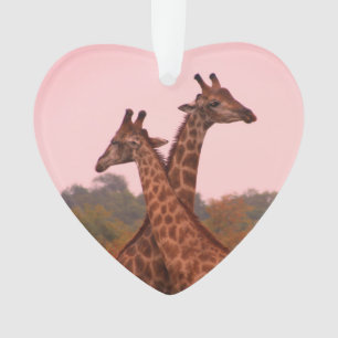 Girafe au ciel rose