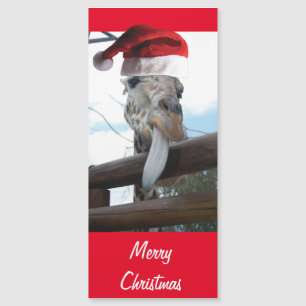 Girafe de Noël portant un Casquette du Père Noël