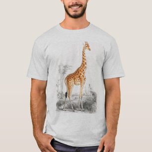 Girafe sauvage d'Afrique hommes T-shirt