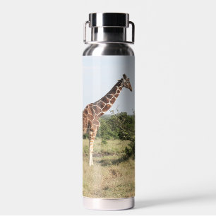 Girafes bouteille d'eau isolée de 22 oz.