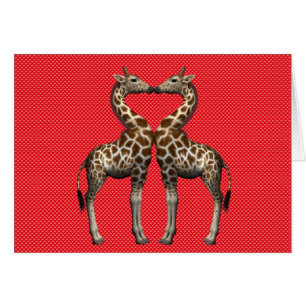 Girafes dans l'amour