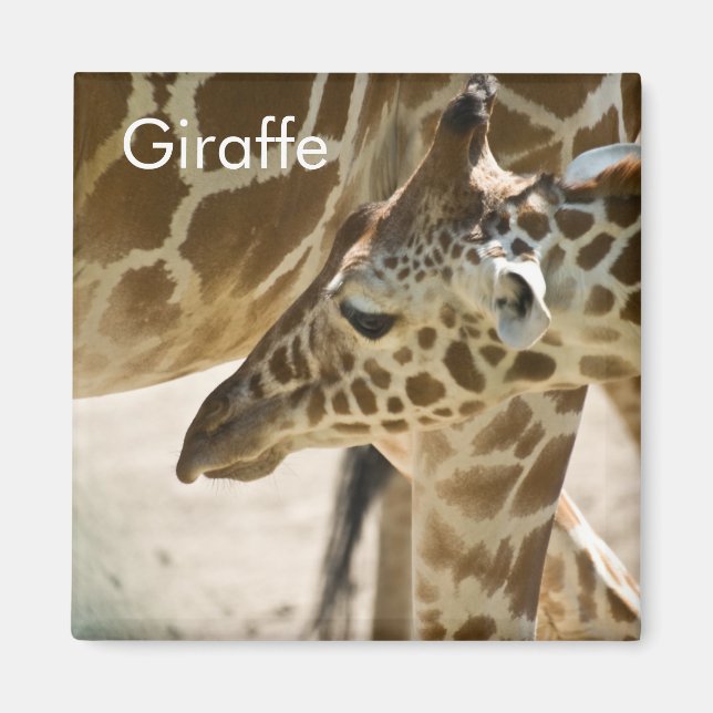 Giraffe ・ Aimant (Devant)