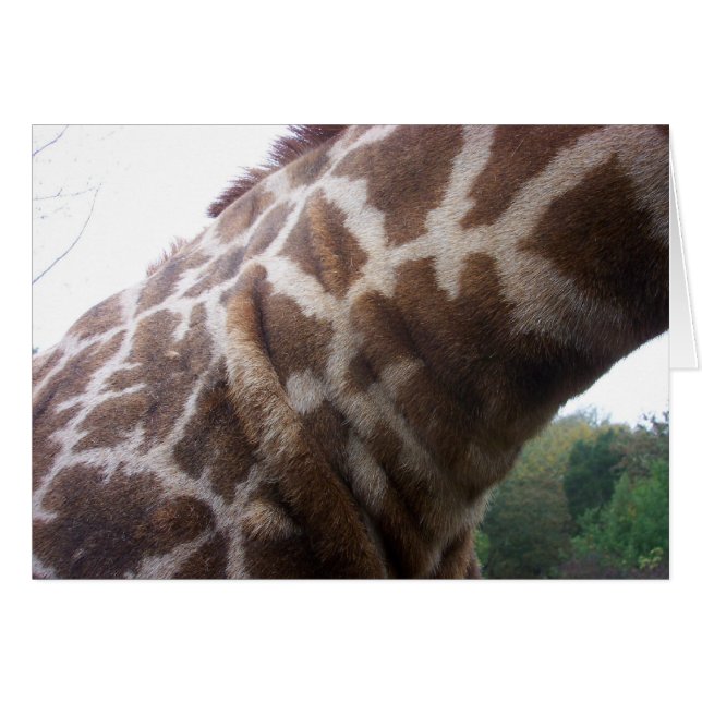 Giraffe Cou (Devant horizontal)