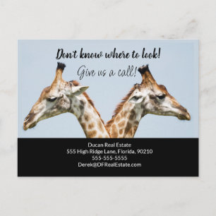 Giraffe immobilier vente carte postale