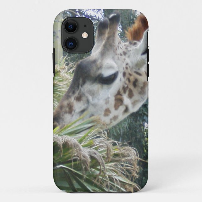 Giraffe Lunch iPhone 5 coque (Dos)