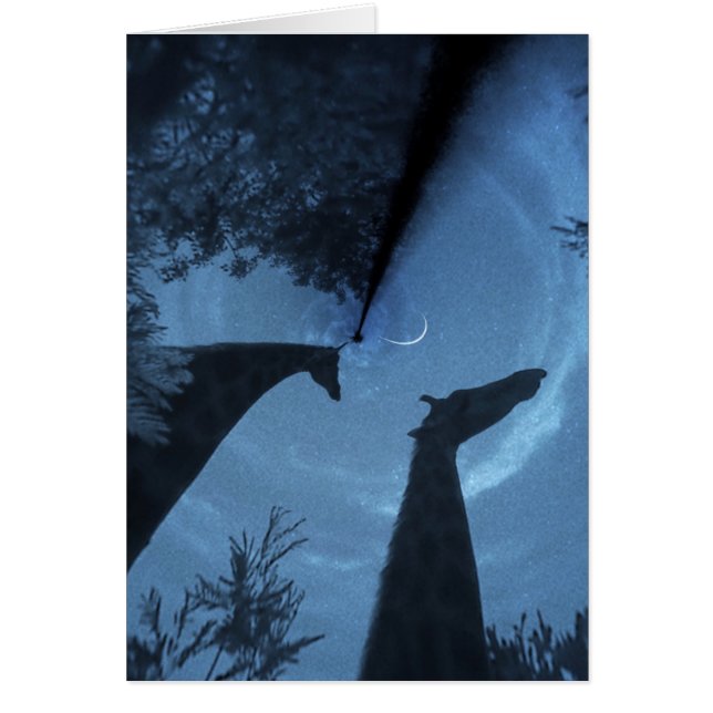 Giraffe Moon (Devant)