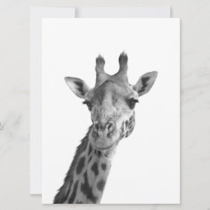 Giraffe noire et blanche