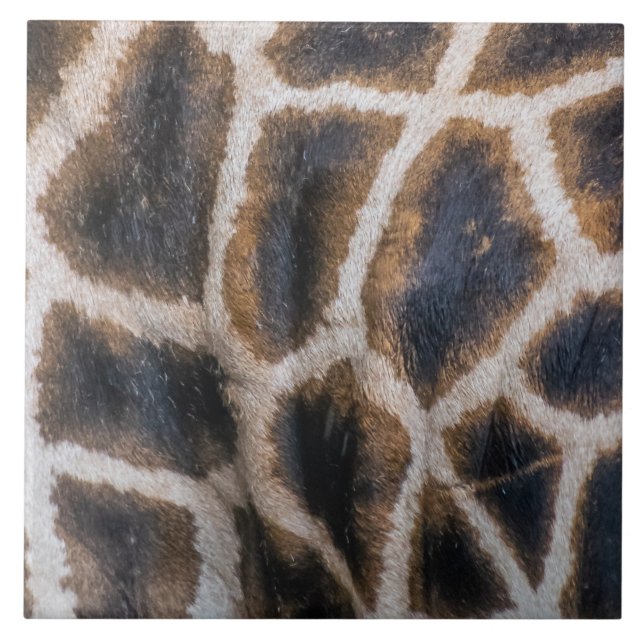 Giraffe peau motif vers le haut carreaux céramique (Devant)