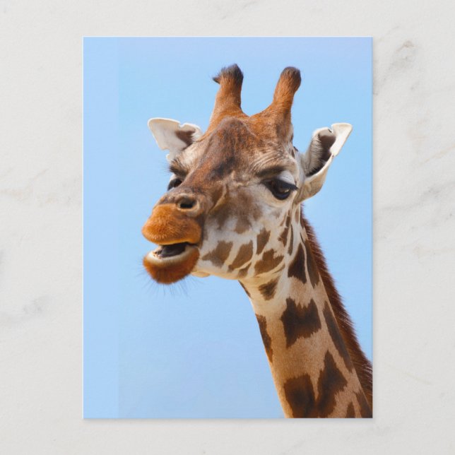 Giraffe Portrait carte postale personnalisée (Devant)