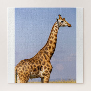 Giraffe puzzle