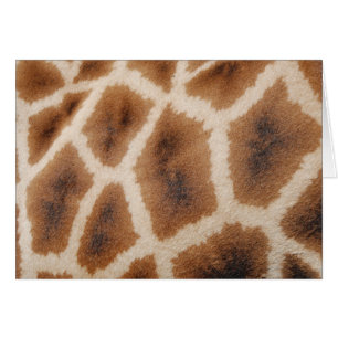 Giraffe réticulée Motif Wild Poster de animal cade