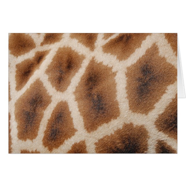 Giraffe réticulée Motif Wild Poster de animal cade (Devant Horizontal)
