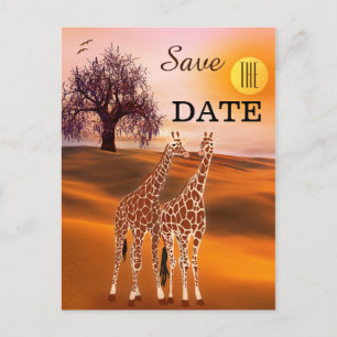 Giraffe Safari Zoo Enregistrer la date Carte Posta