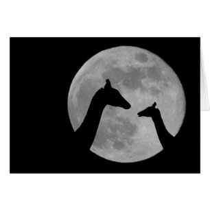 Giraffes À La Nuit De Plelmoon