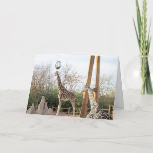 Giraffes Carte d'anniversaire