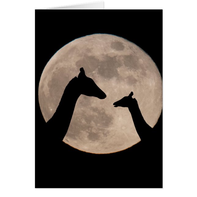 Giraffes En Pleine lune (Devant)