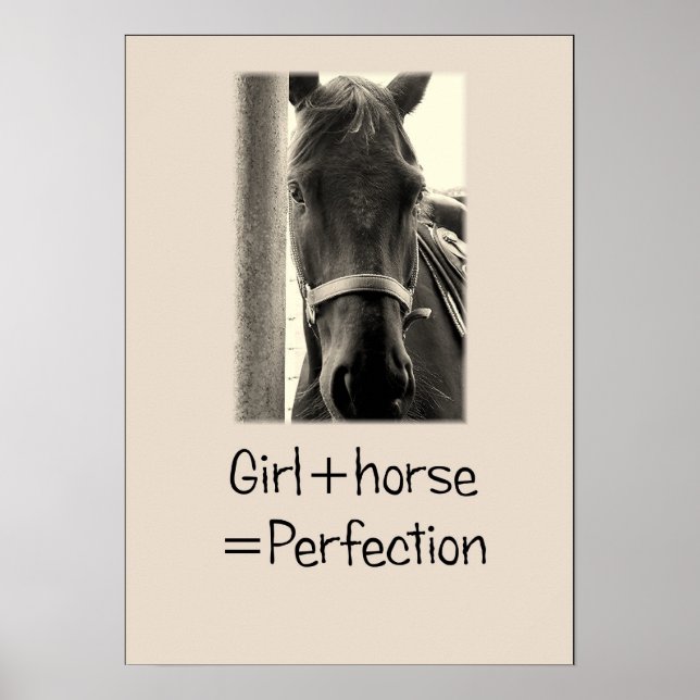 "Girl+Horse=Perfection" Poster Sepuia Horse (Devant)