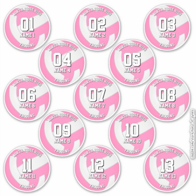 girls pink volleyball team stickers 13 athletes (Devant)