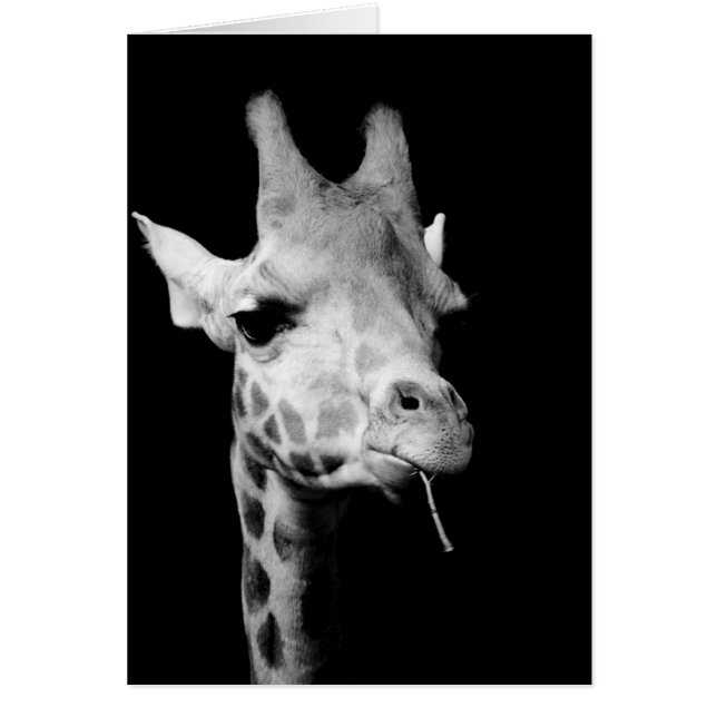 girrafe (Devant)