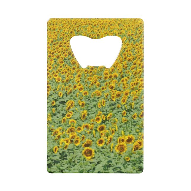 Gisement jaune de tournesol (Devant)