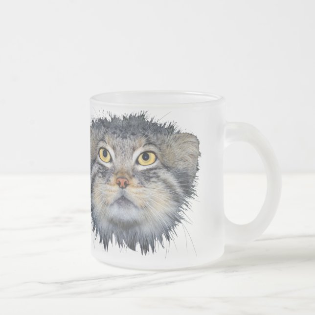 Givré tasse - chat de pallas (Droit)