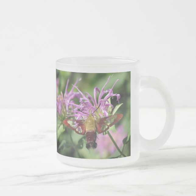 Givré Tasse de mite de colibri (Droit)
