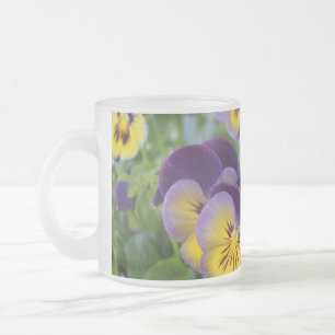 Givré Tasse frottée à la poitrine