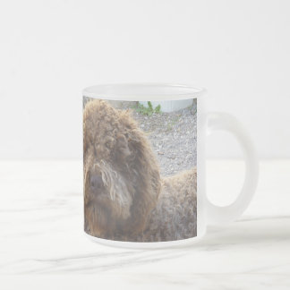 givrée avec photo de lagotto-romagnolo de tasse