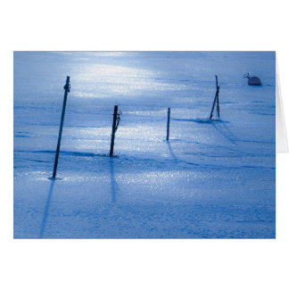 Glace bleue sans fin