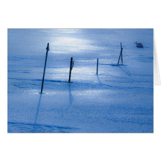 Glace bleue sans fin