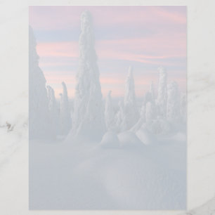 Glace et neige Arbres couverts de neige, Laponie