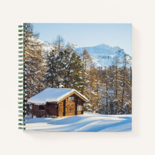 Glace et neige Journal d'hiver Cabine Alpes suis