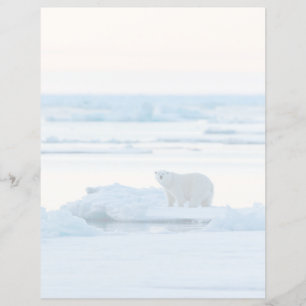 Glace et neige Ours polaire Iceberg Norvège