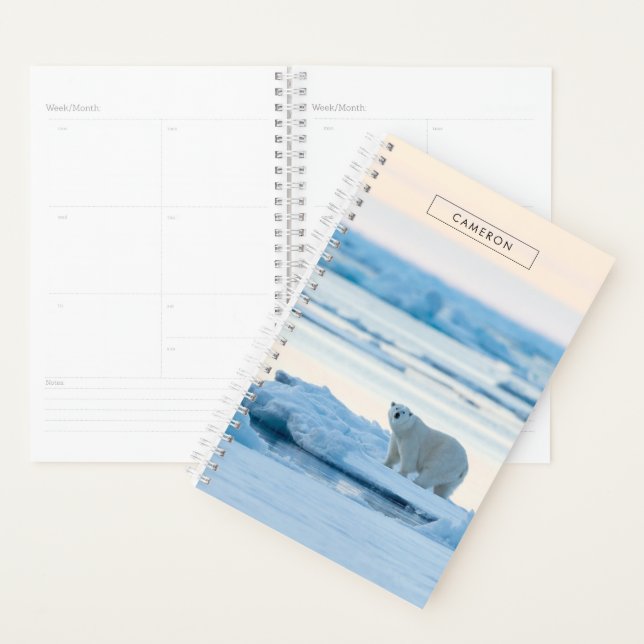 Glace et neige | Ours polaire Iceberg Norvège (Devant avec enveloppe)