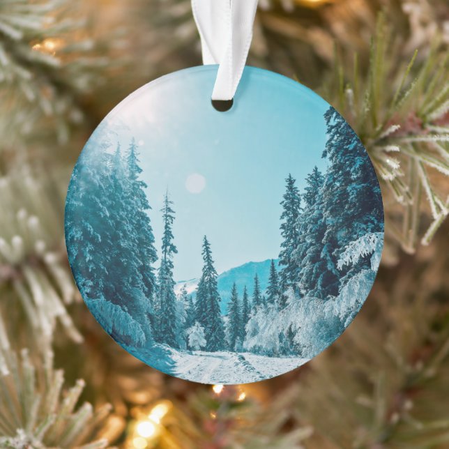 Glace et neige | Réserve naturelle de l'Altaï, Rus (Arbre)