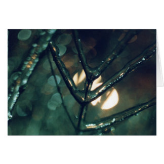 Glace, nuit, lumière