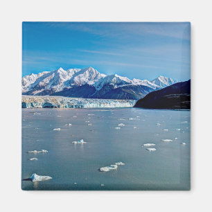 Glacier Hubbard, Magnet de l'Alaska